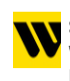 Western Union - Global financial services and communications company